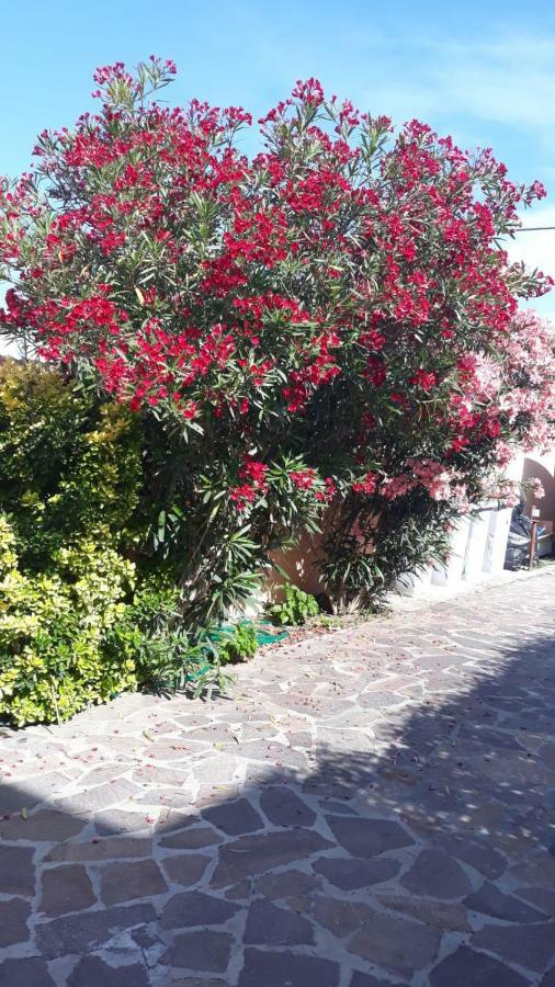 B&B Giorgia Airport Fiumicino Dış mekan fotoğraf