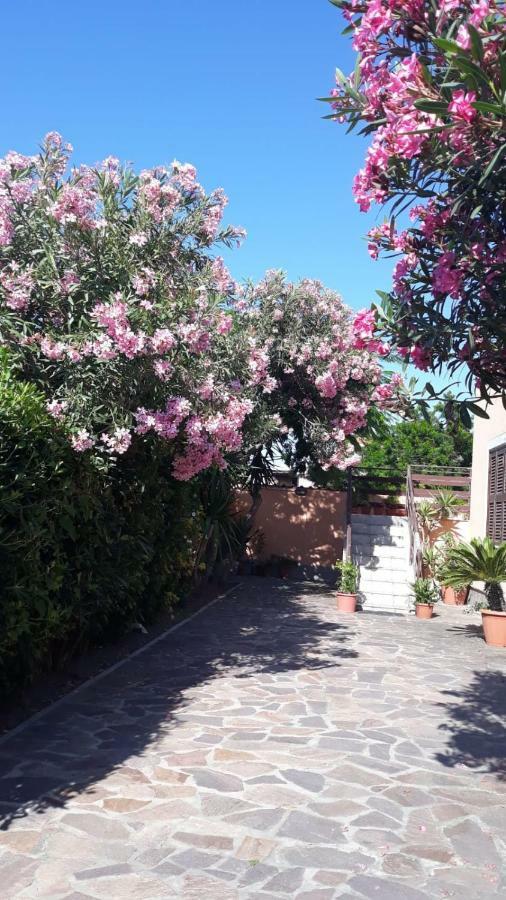 B&B Giorgia Airport Fiumicino Dış mekan fotoğraf