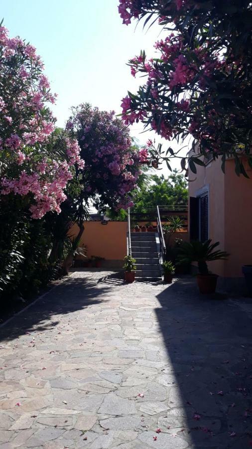 B&B Giorgia Airport Fiumicino Dış mekan fotoğraf